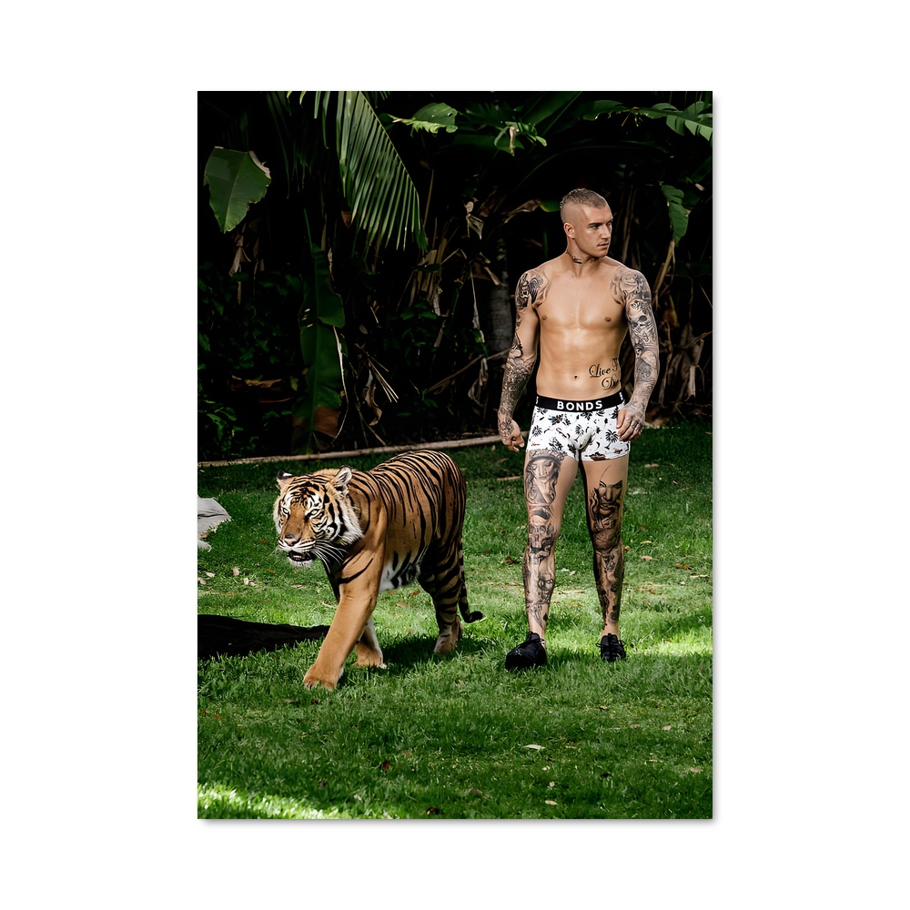 Poster Tiger & Ink